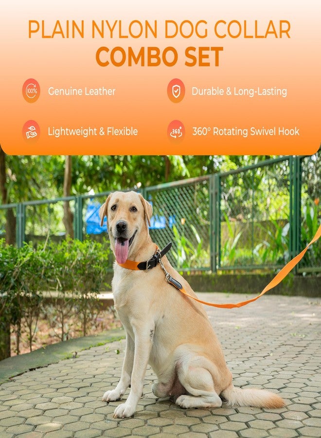 ADIL'S Adil’s Adjustable Plain Nylon with Leather Dog Collar & Leash Combo - Reinforced with Metal Buckle, 360° Swivel Hook, D-Ring & 10ft Leash for Small, Medium & Large Dogs (Orange, Large) - Image 3